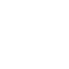 Telefon Icon