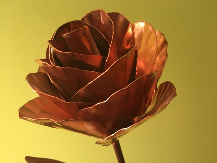 Eine Kupferrose